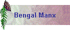 Bengal Manx